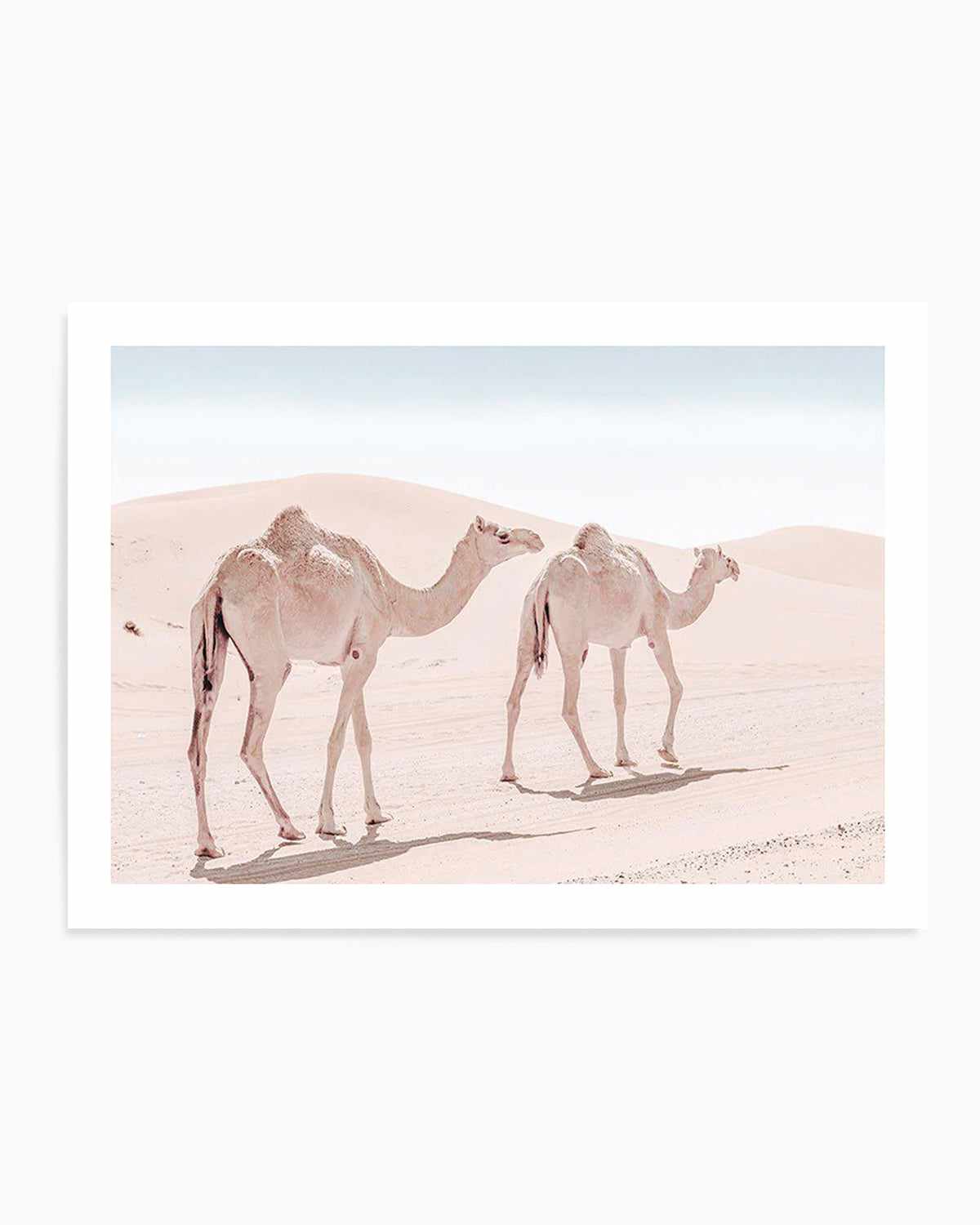 Desert Camels II Art Print