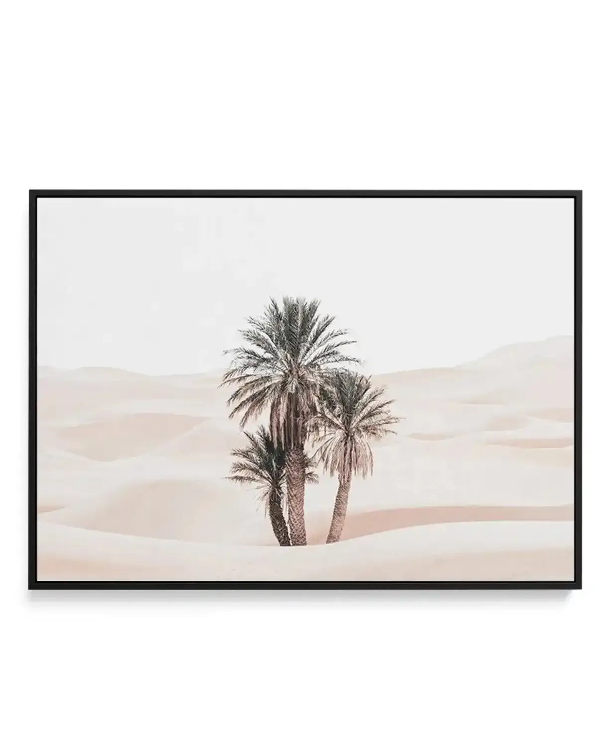 Desert Mirage I | LS | Framed Canvas-Shop Australian Art Prints Online with Olive et Oriel - Our collection of Moroccan art prints offer unique wall art including moroccan arches and pink morocco doors of marrakech - this collection will add soft feminine colour to your walls and some may say bohemian style. These traditional morocco landscape photography includes desert scenes of palm trees and camel art prints - there is art on canvas and extra large wall art with fast, free shipping across Au