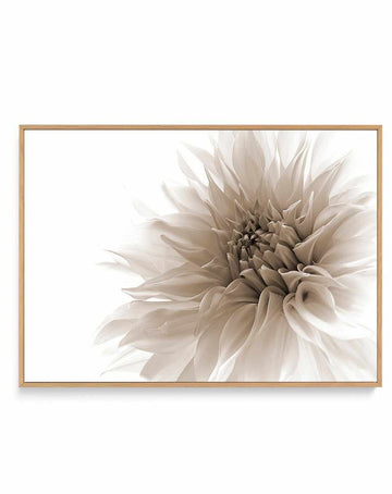 Dignified By Priska Wettstein | Framed Canvas Art Print from Olive et Oriel where you can shop wallpaper and artworks online