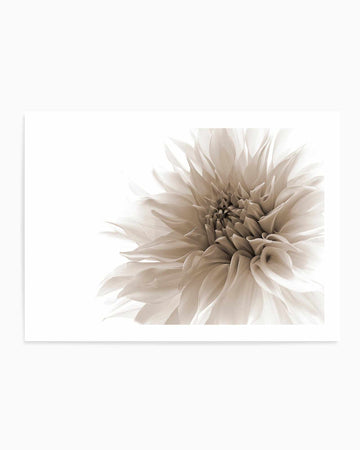 Dignified By Priska Wettstein | Art Print from Olive et Oriel where you can shop wallpaper and artworks online