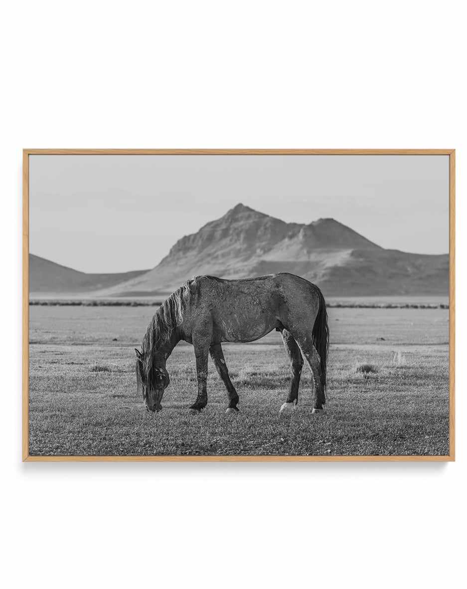 Dinner Time by Rylee Olsen | Framed Canvas Art Print from Olive et Oriel where you can shop wallpaper and artworks online