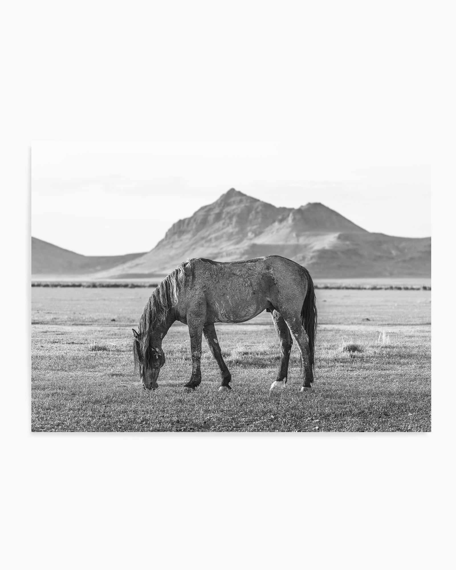 Dinner Time by Rylee Olsen | Art Print from Olive et Oriel where you can shop wallpaper and artworks online