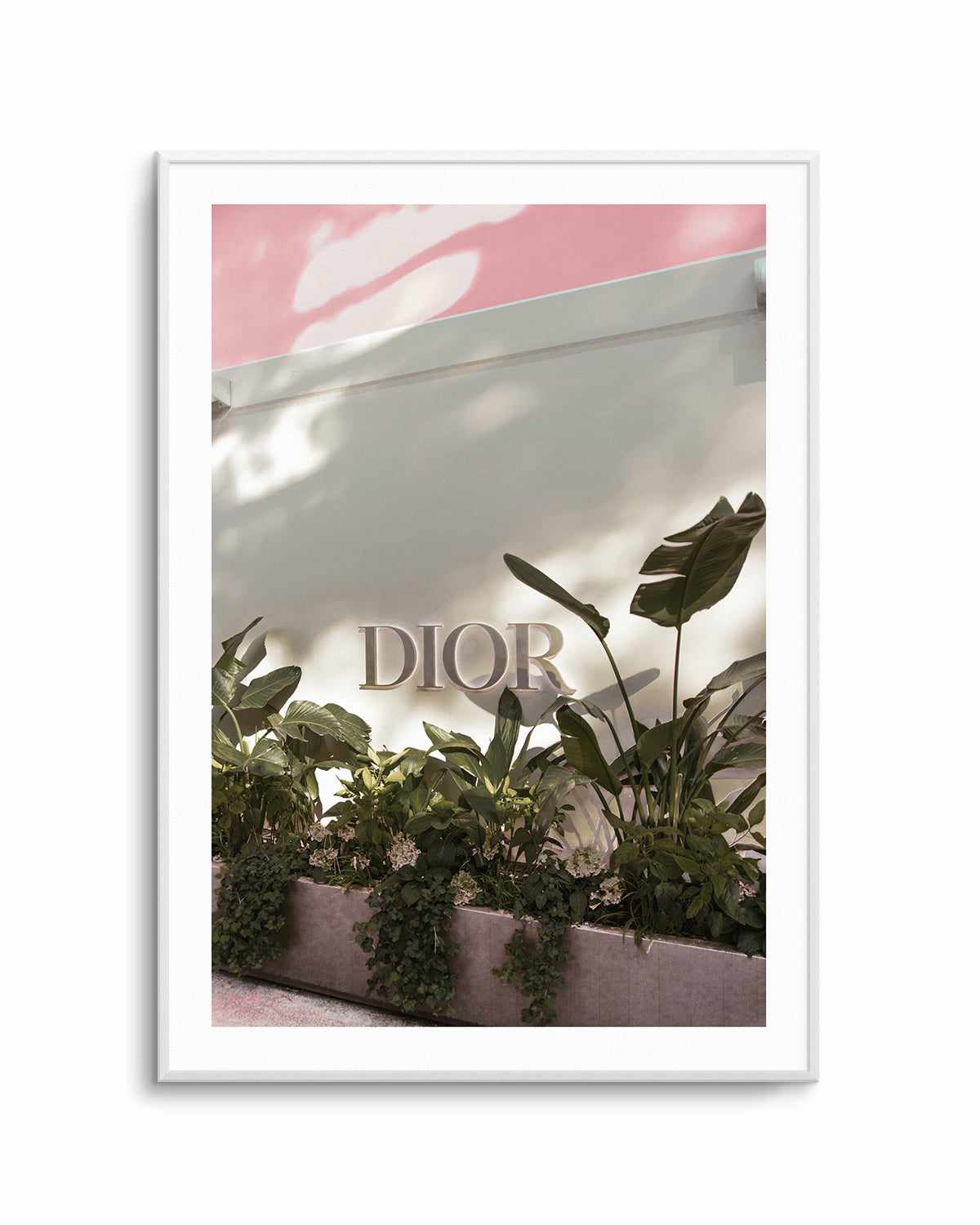 Dior, Italian Riviera Art Print