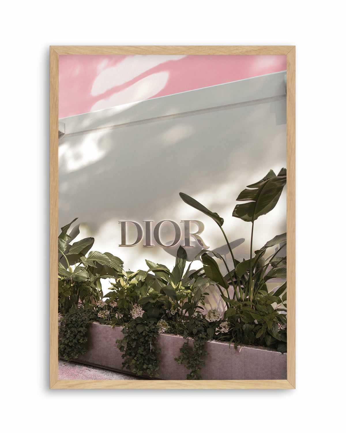 Dior, Italian Riviera Art Print