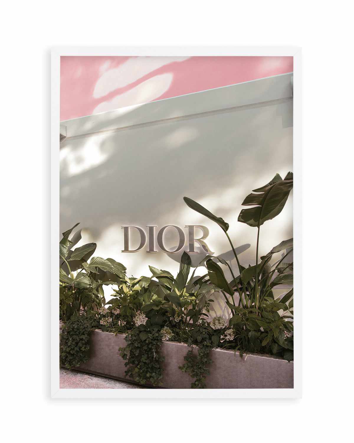 Dior, Italian Riviera Art Print