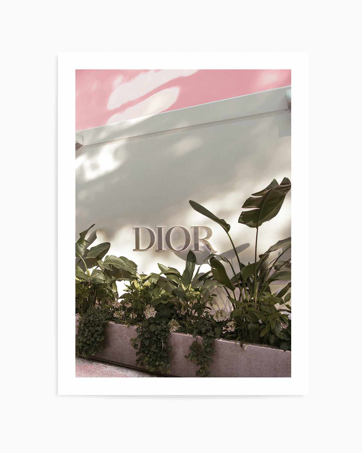 Dior, Italian Riviera Art Print