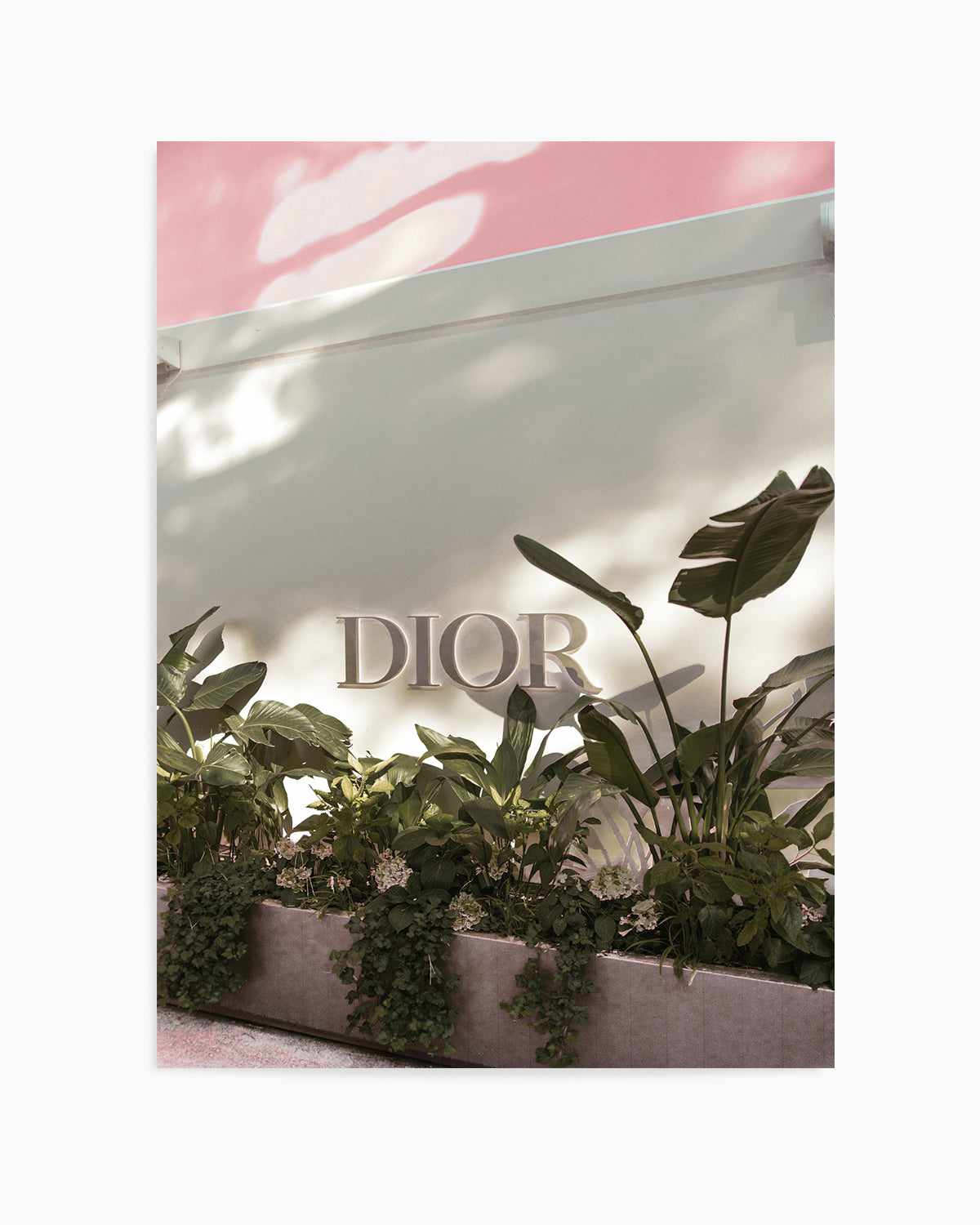 Dior, Italian Riviera Art Print