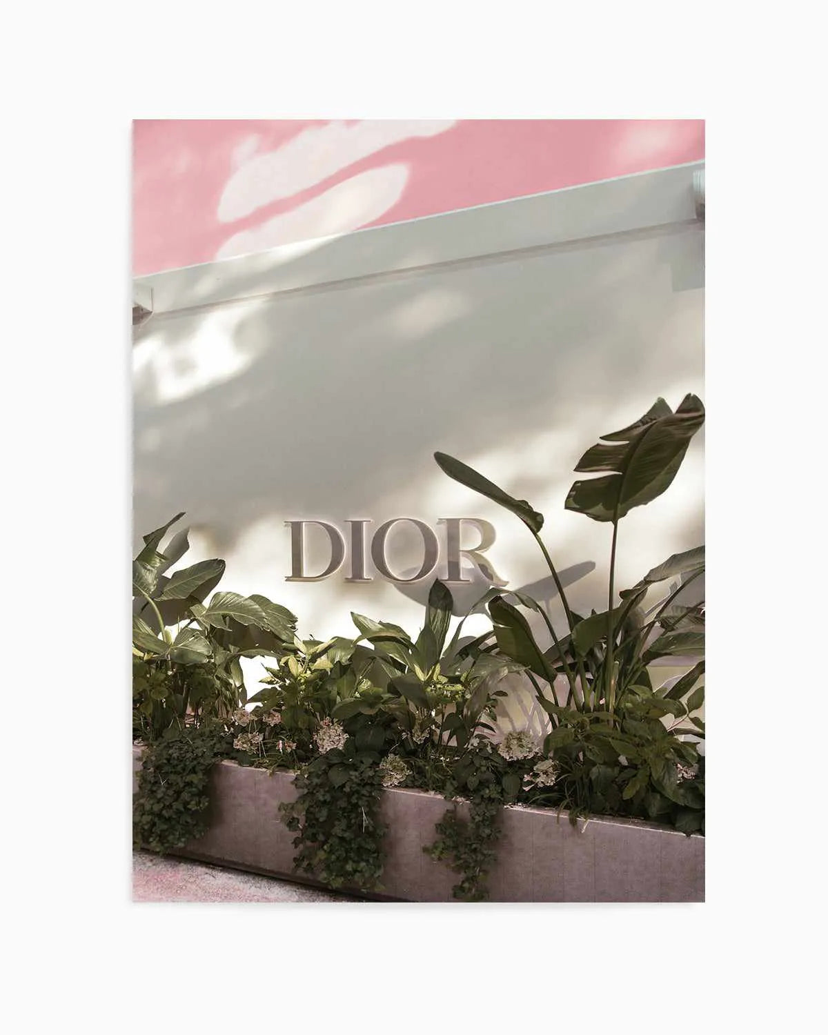 Dior, Italian Riviera Art Print from Olive et Oriel where you can shop wallpaper and artworks online