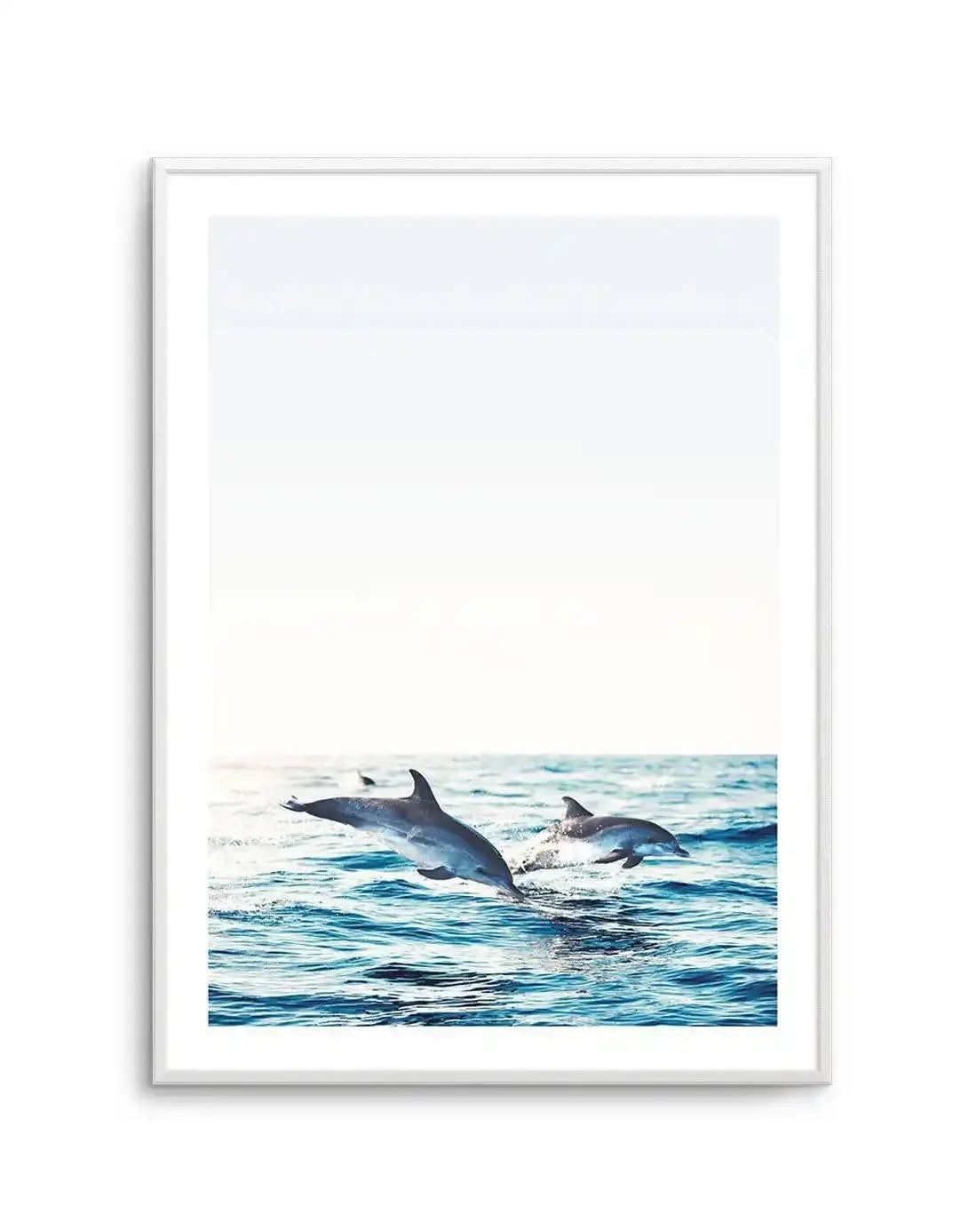 Dolphins | PT Art Print-PRINT-Olive et Oriel-Olive et Oriel-A5 | 5.8" x 8.3" | 14.8 x 21cm-Unframed Art Print-With White Border-Buy-Australian-Art-Prints-Online-with-Olive-et-Oriel-Your-Artwork-Specialists-Austrailia-Decorate-With-Coastal-Photo-Wall-Art-Prints-From-Our-Beach-House-Artwork-Collection-Fine-Poster-and-Framed-Artwork