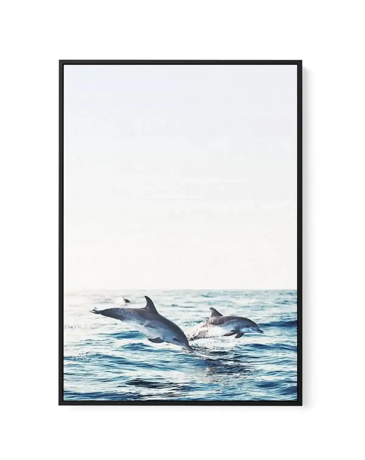 Dolphins | PT | Framed Canvas-CANVAS-You can shop wall art online with Olive et Oriel for everything from abstract art to fun kids wall art. Our beautiful modern art prints and canvas art are available from large canvas prints to wall art paintings and our proudly Australian artwork collection offers only the highest quality framed large wall art and canvas art Australia - You can buy fashion photography prints or Hampton print posters and paintings on canvas from Olive et Oriel and have them de
