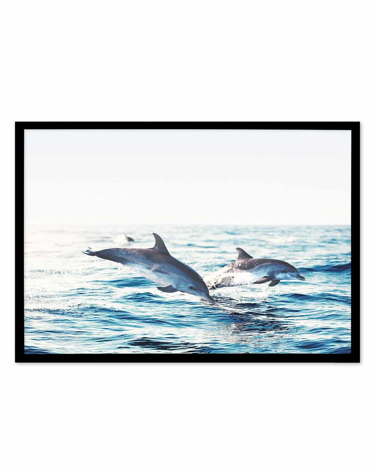 Dolphins | LS Art Print