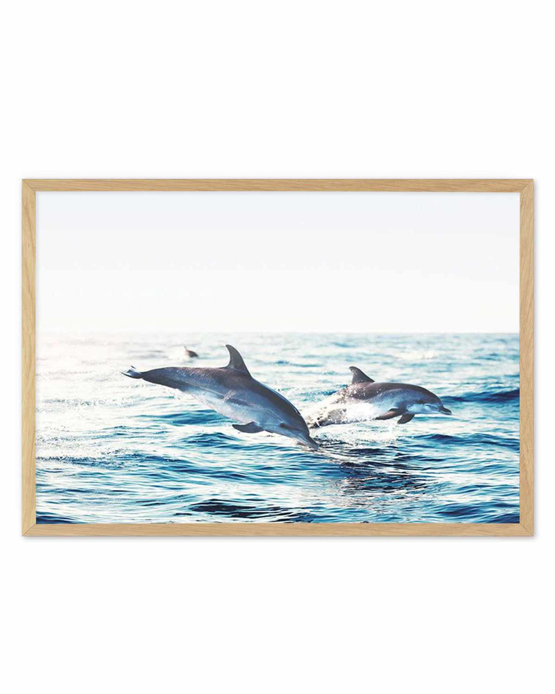 Dolphins | LS Art Print