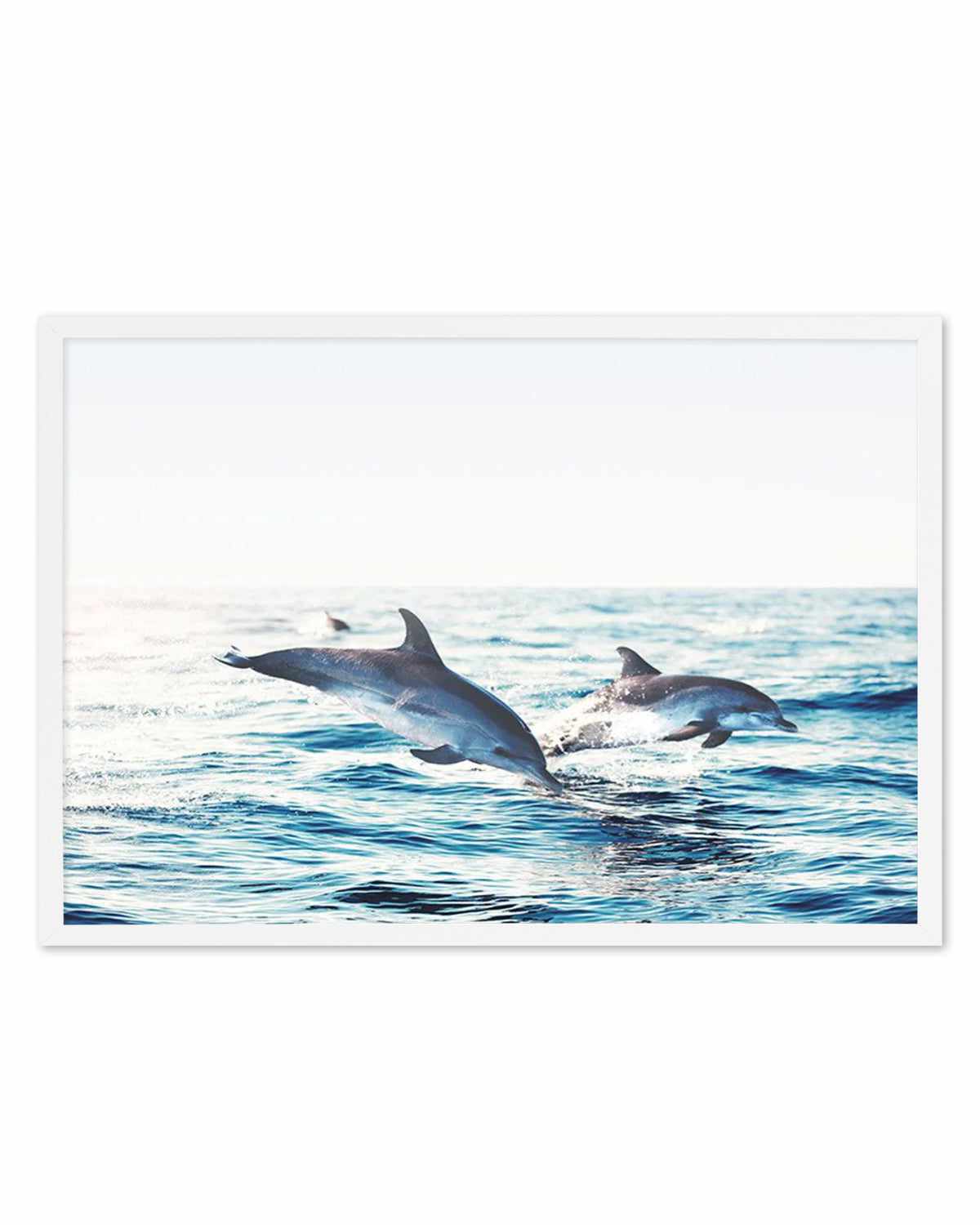 Dolphins | LS Art Print