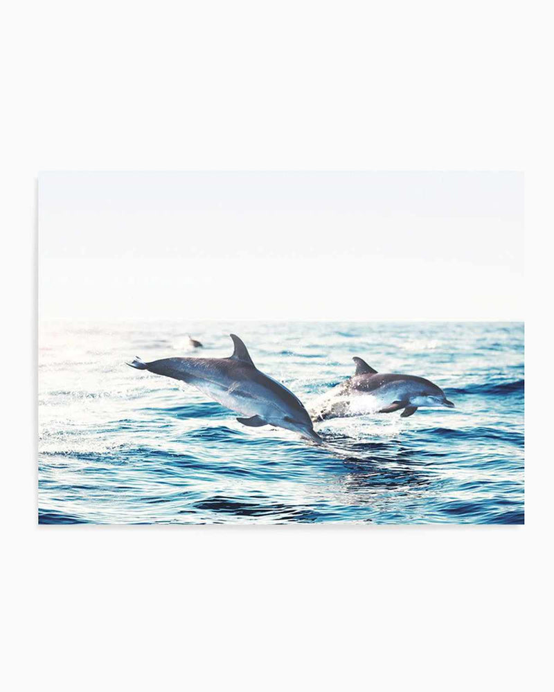Dolphins | LS Art Print