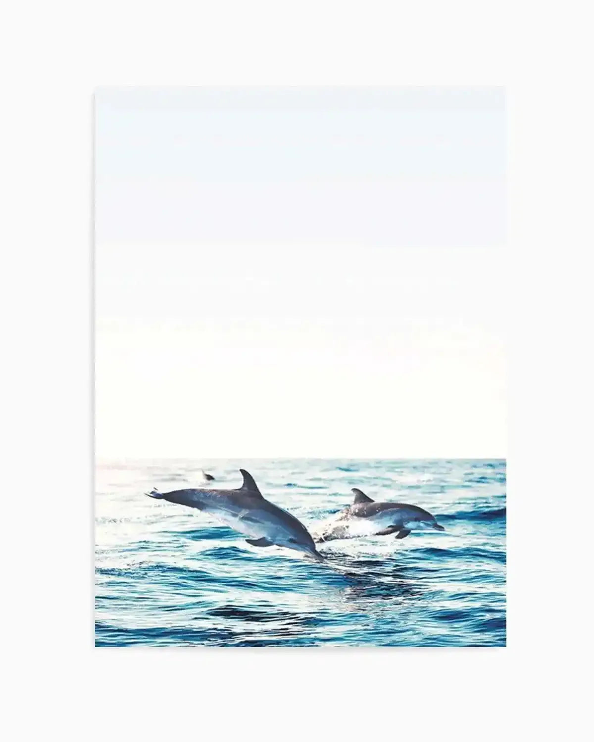 Dolphins | PT Art Print from Olive et Oriel where you can shop wallpaper and artworks online