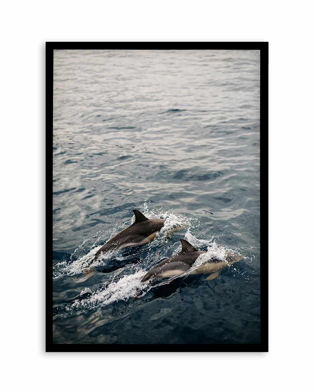 Dolphins in Antiparos, Greece by Jovani Demetrie Art Print