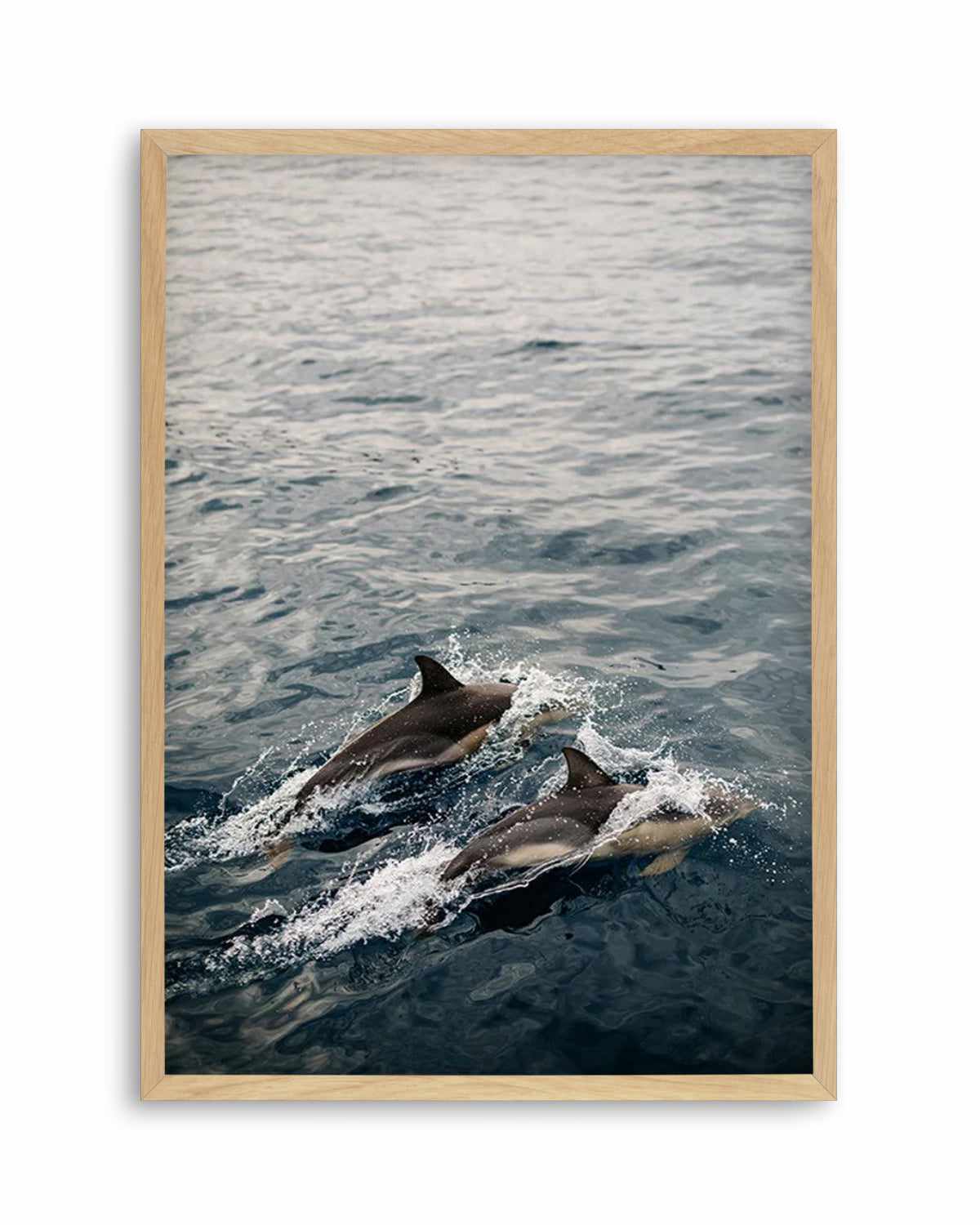 Dolphins in Antiparos, Greece by Jovani Demetrie Art Print