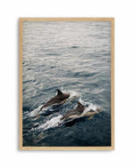Dolphins in Antiparos, Greece by Jovani Demetrie Art Print