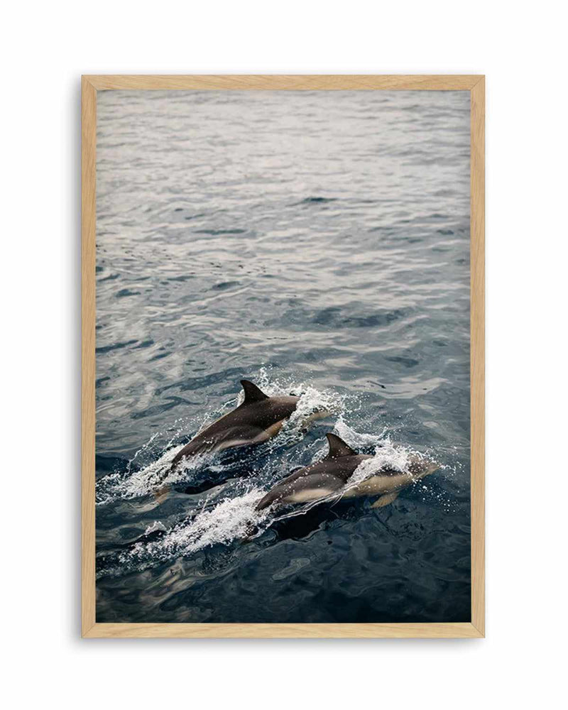 Dolphins in Antiparos, Greece by Jovani Demetrie Art Print
