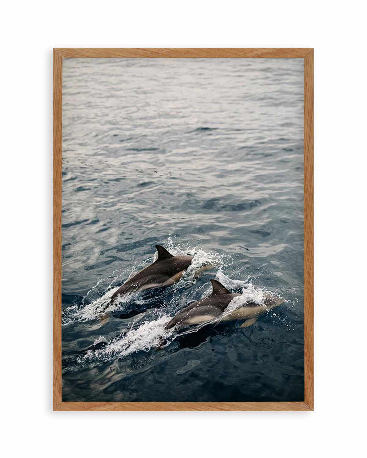 Dolphins in Antiparos, Greece by Jovani Demetrie Art Print