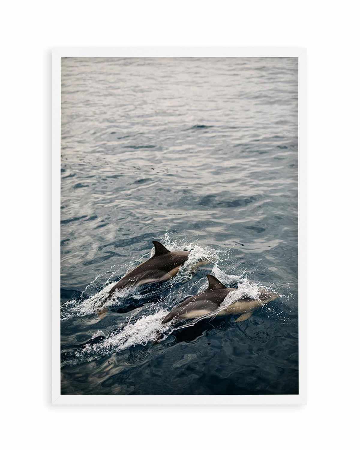 Dolphins in Antiparos, Greece by Jovani Demetrie Art Print