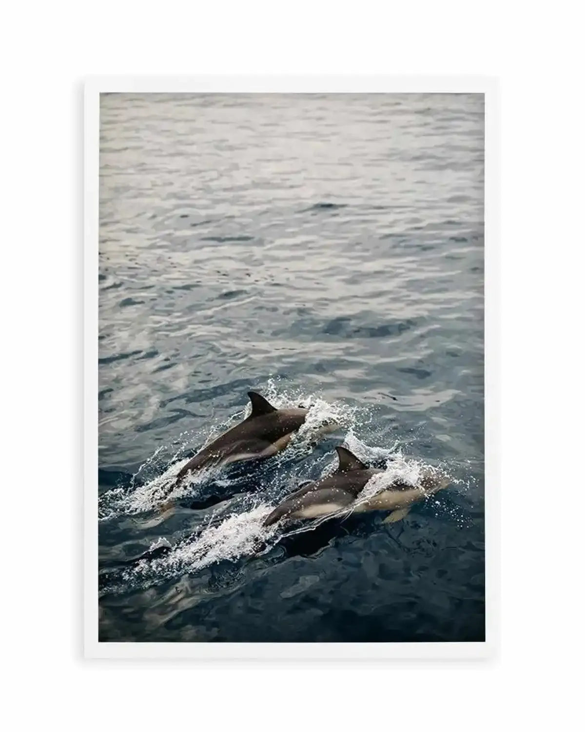 Dolphins in Antiparos, Greece by Jovani Demetrie Art Print from Olive et Oriel where you can shop wallpaper and artworks online