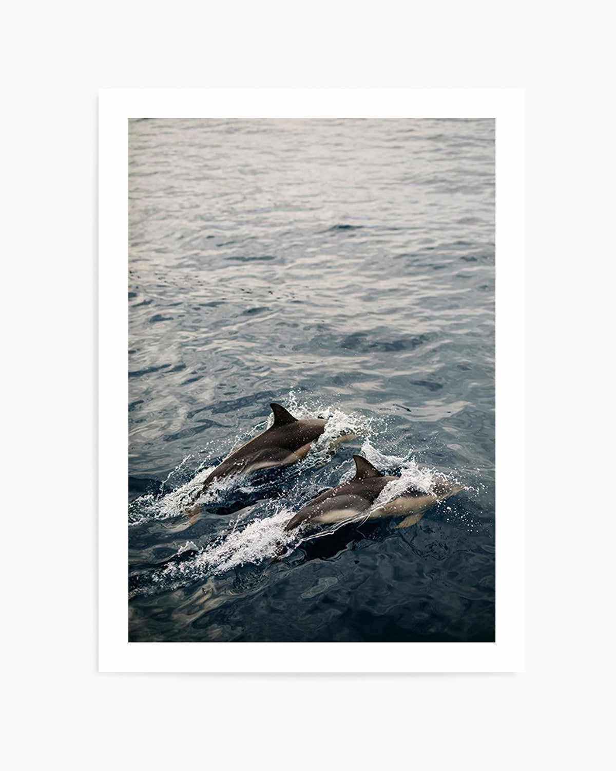 Dolphins in Antiparos, Greece by Jovani Demetrie Art Print