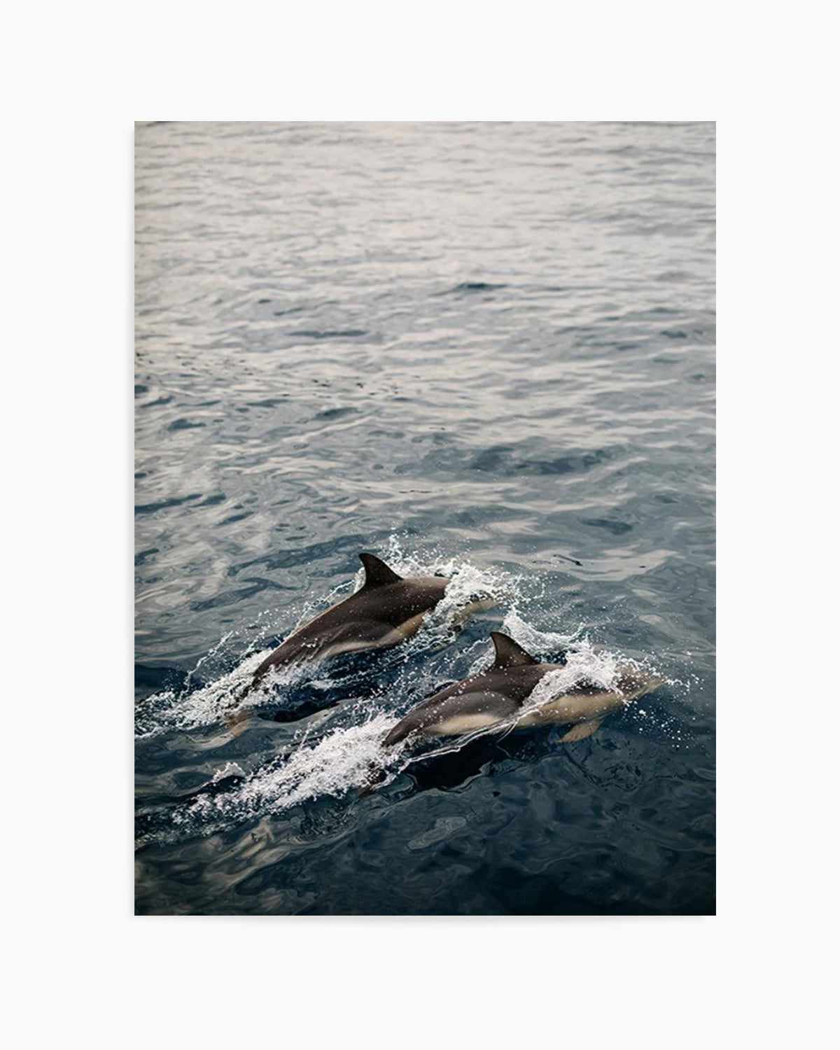 Dolphins in Antiparos, Greece by Jovani Demetrie Art Print