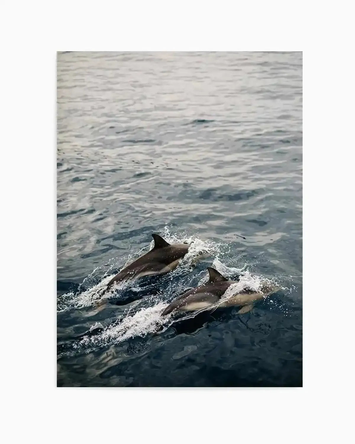 Dolphins in Antiparos, Greece by Jovani Demetrie Art Print from Olive et Oriel where you can shop wallpaper and artworks online