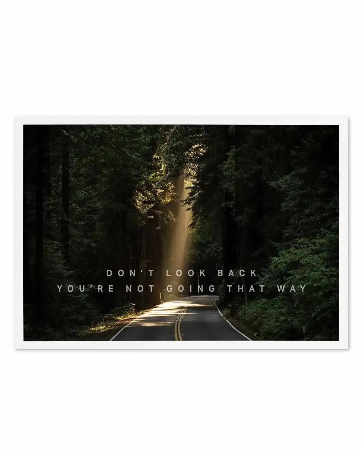 Don't Look Back You're Not Going That Way Art Print from Olive et Oriel where you can shop wallpaper and artworks online
