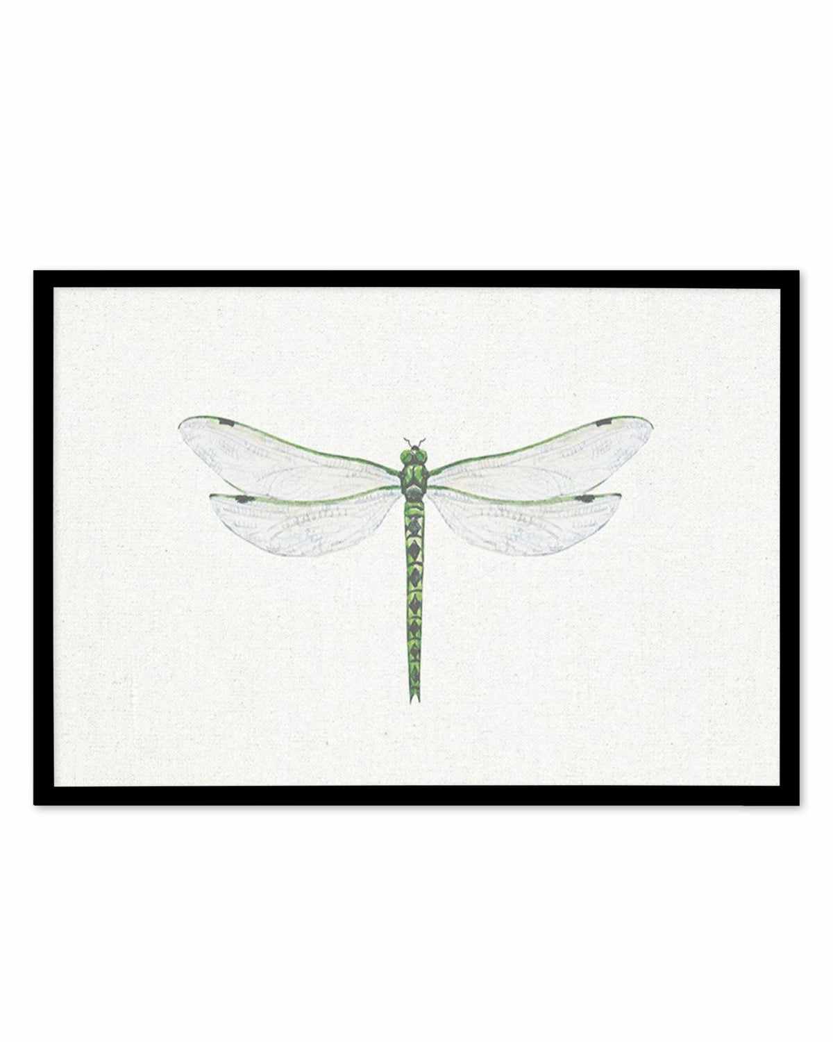 Dragonfly on Linen II Art Print