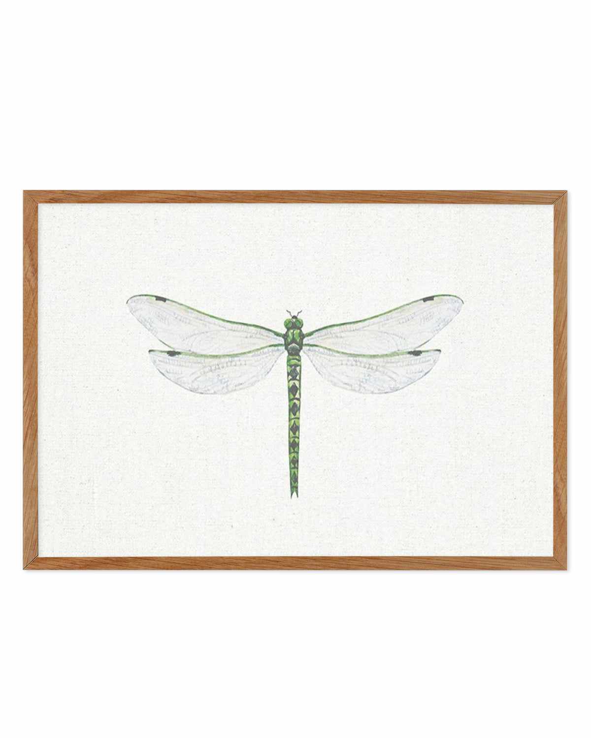 Dragonfly on Linen II Art Print