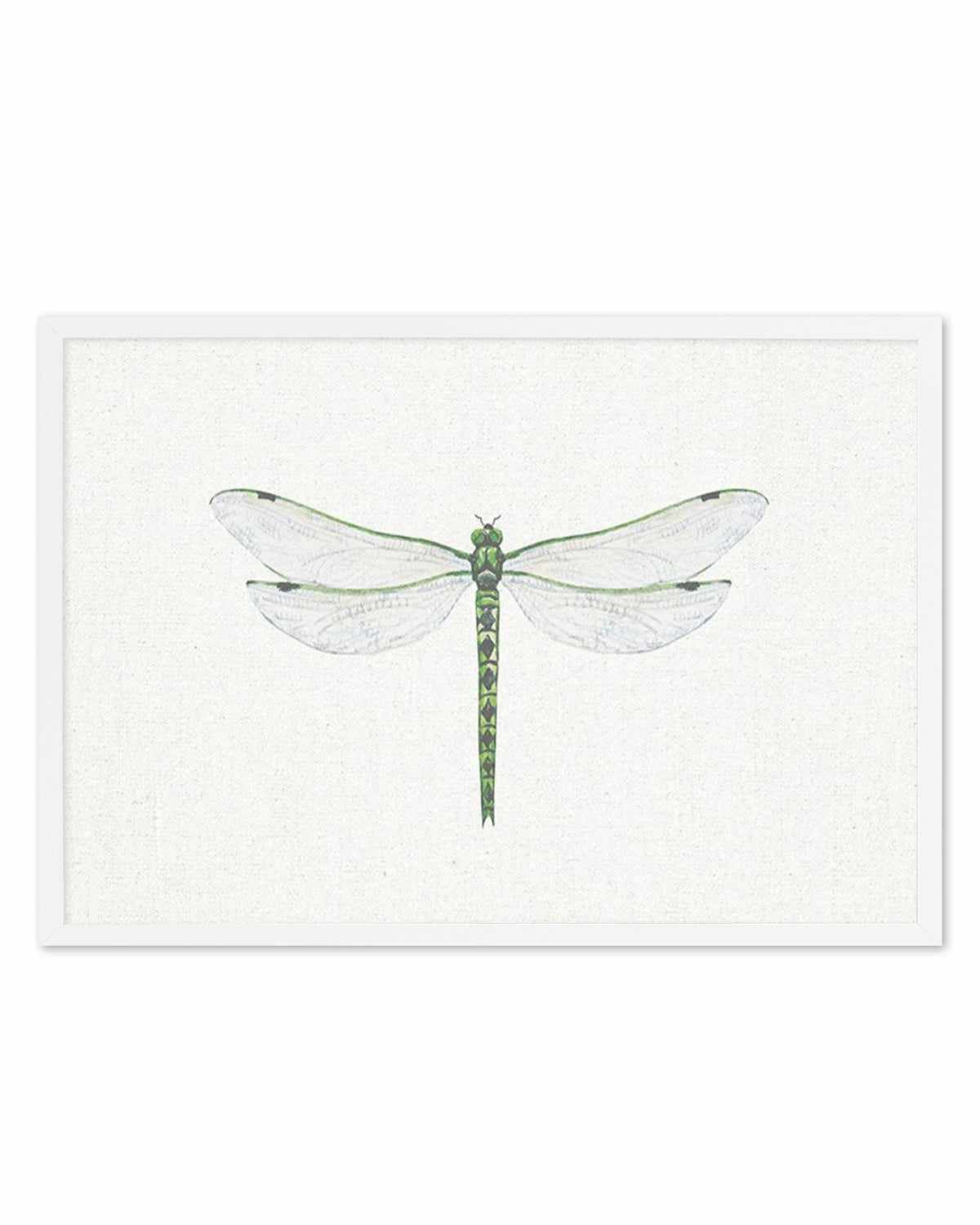 Dragonfly on Linen II Art Print