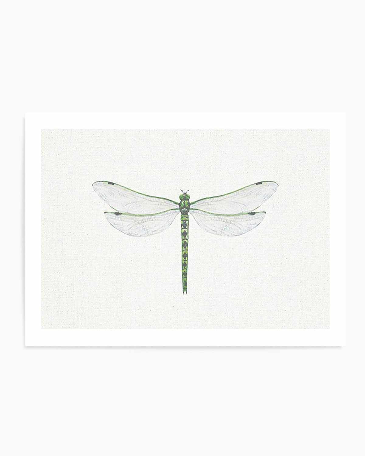 Dragonfly on Linen II Art Print