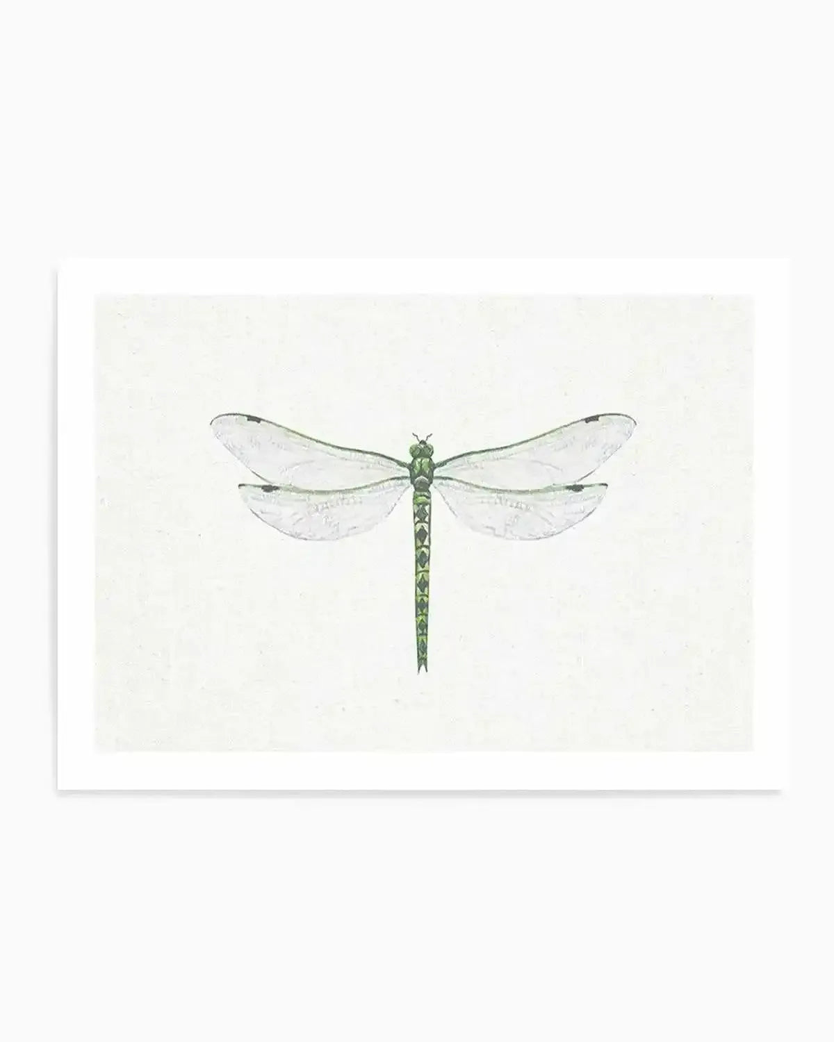 Dragonfly on Linen II Art Print from Olive et Oriel where you can shop wallpaper and artworks online