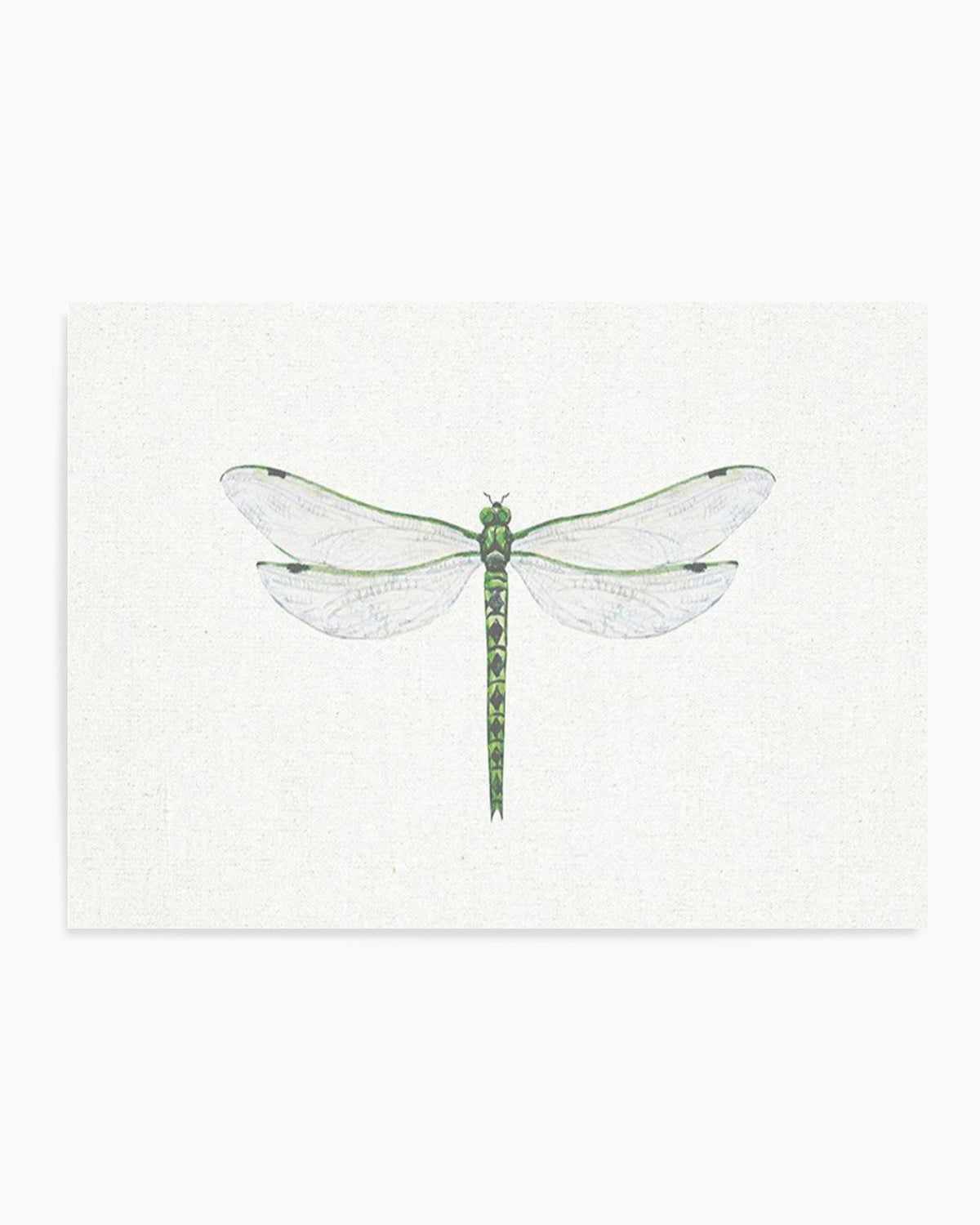 Dragonfly on Linen II Art Print