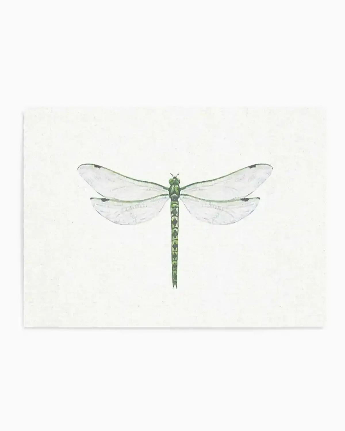 Dragonfly on Linen II Art Print from Olive et Oriel where you can shop wallpaper and artworks online