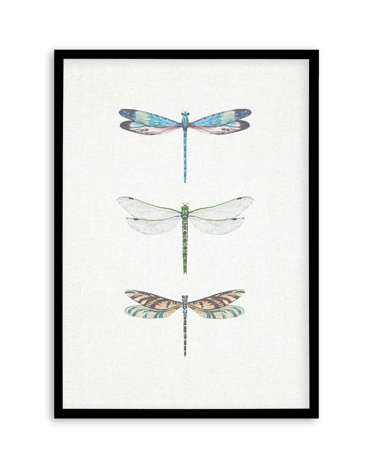 Dragonfly on Linen | PT Art Print