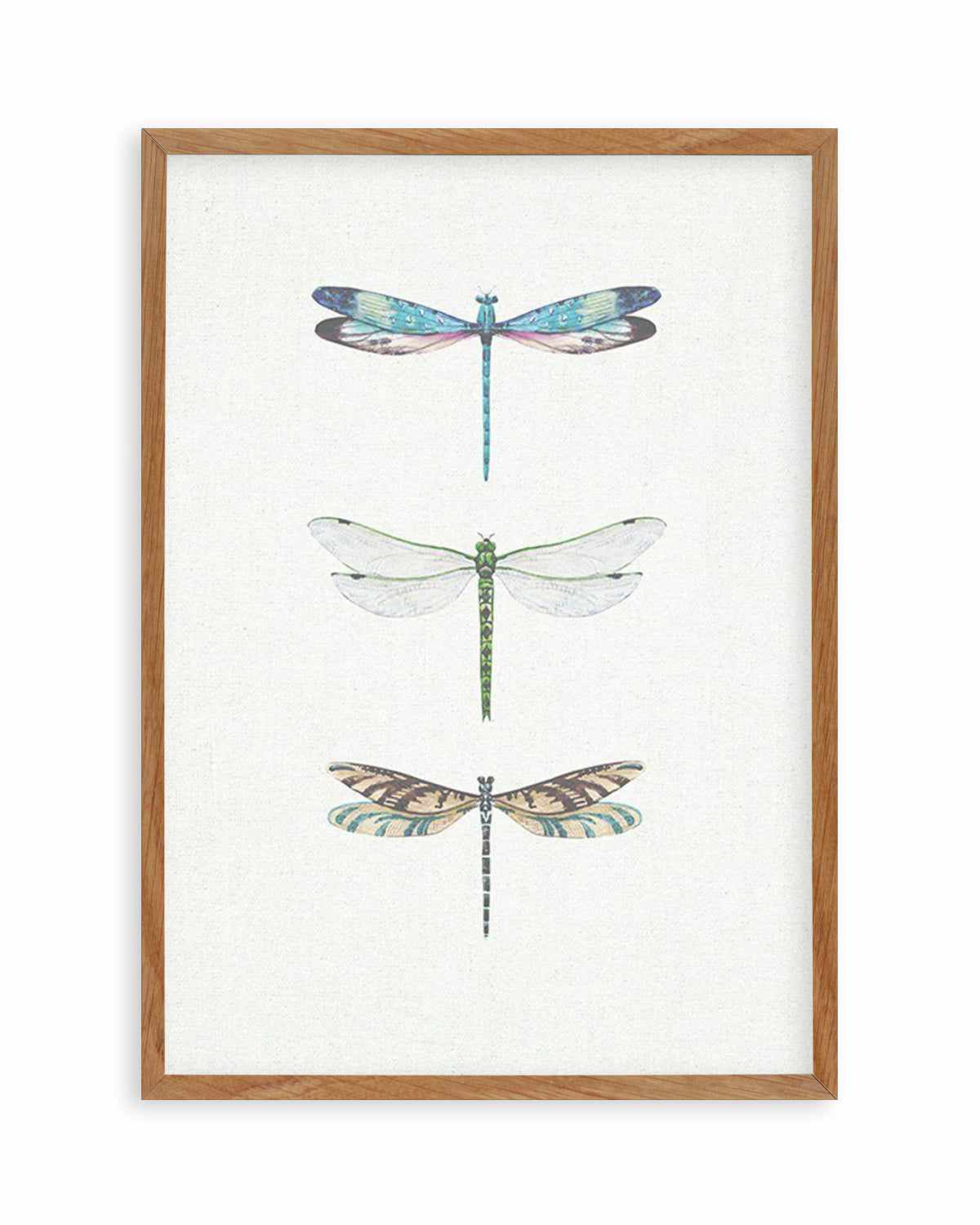 Dragonfly on Linen | PT Art Print