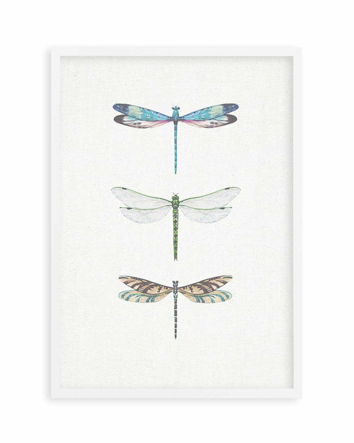 Dragonfly on Linen | PT Art Print