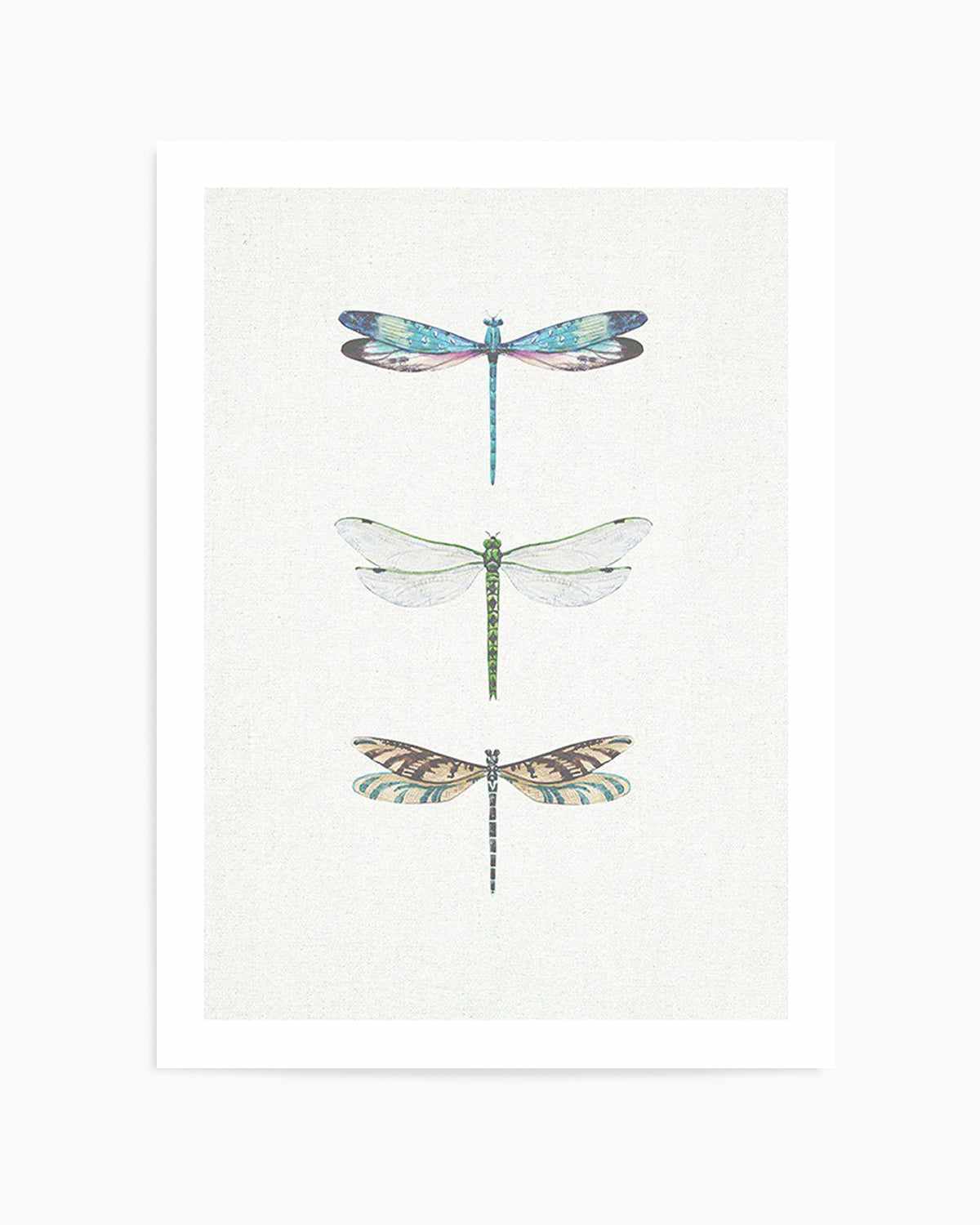 Dragonfly on Linen | PT Art Print