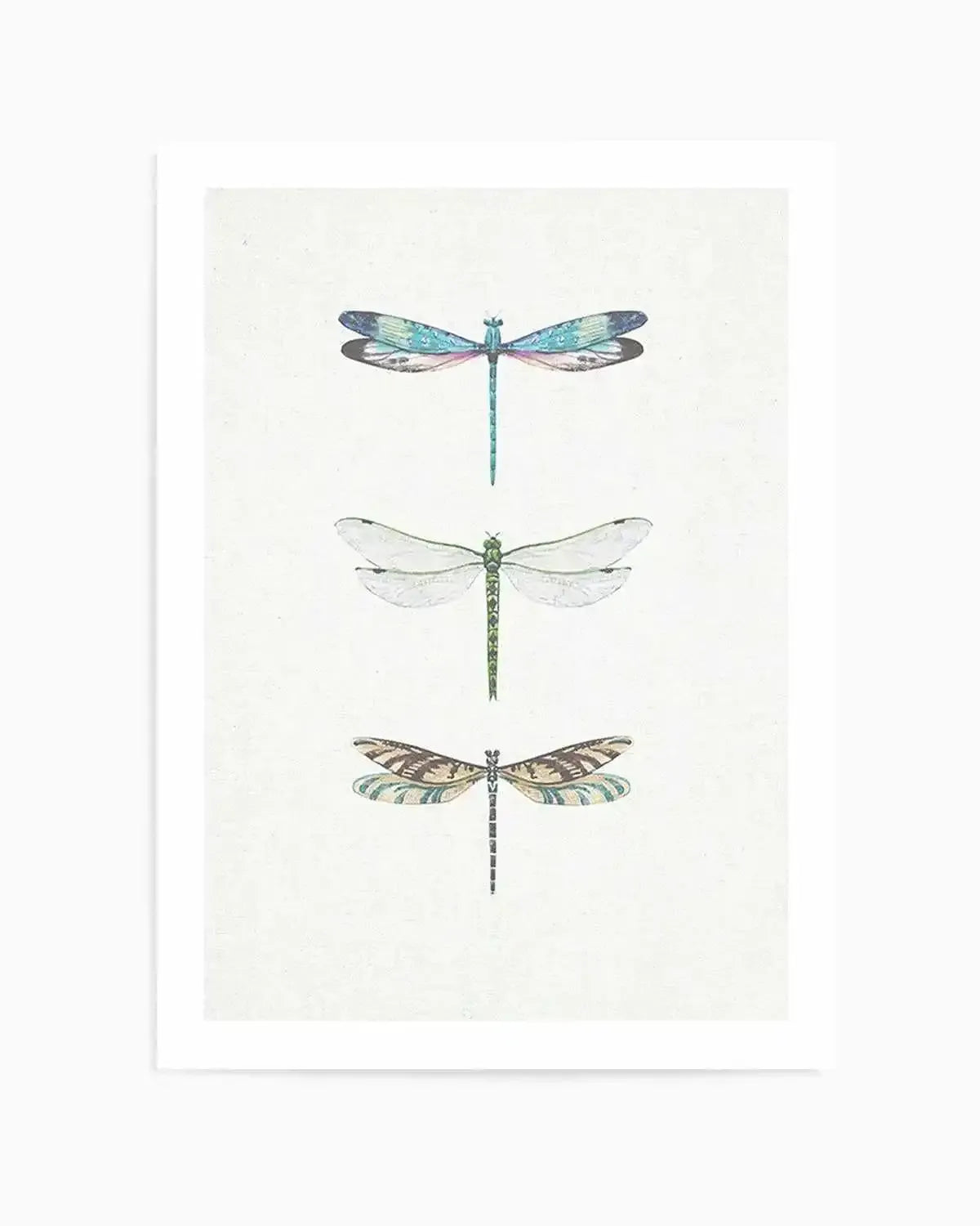Dragonfly on Linen | PT Art Print from Olive et Oriel where you can shop wallpaper and artworks online