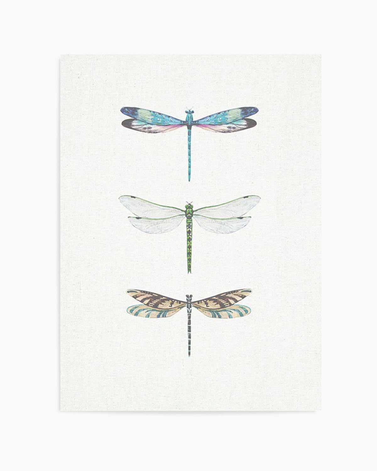 Dragonfly on Linen | PT Art Print