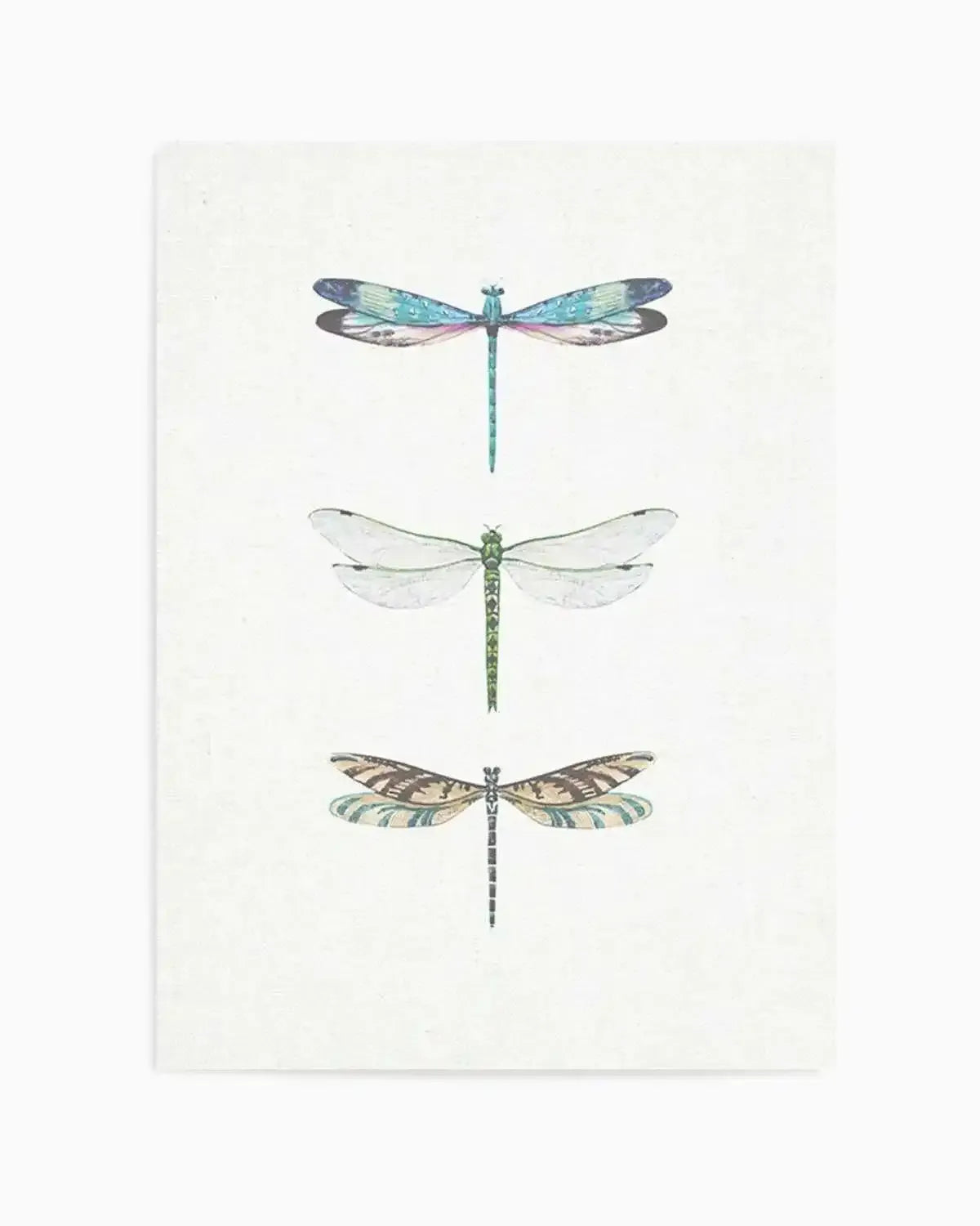 Dragonfly on Linen | PT Art Print from Olive et Oriel where you can shop wallpaper and artworks online
