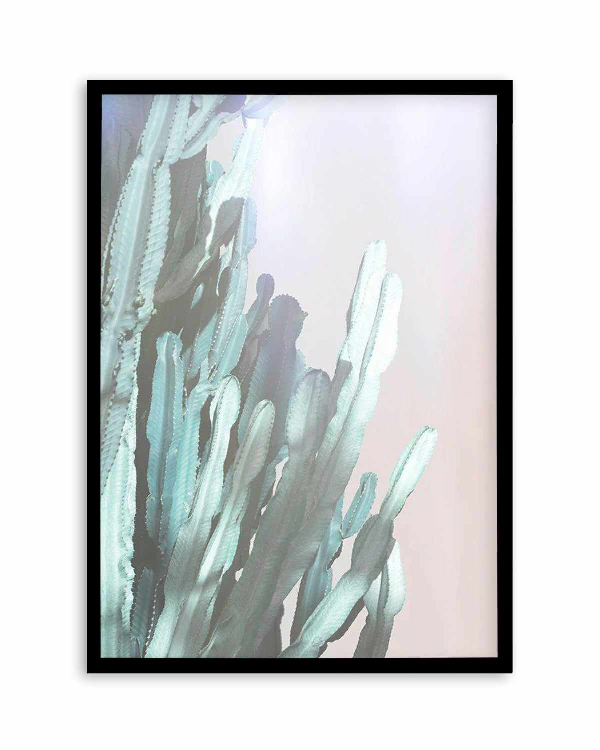 Dreamy Cactus I Art Print