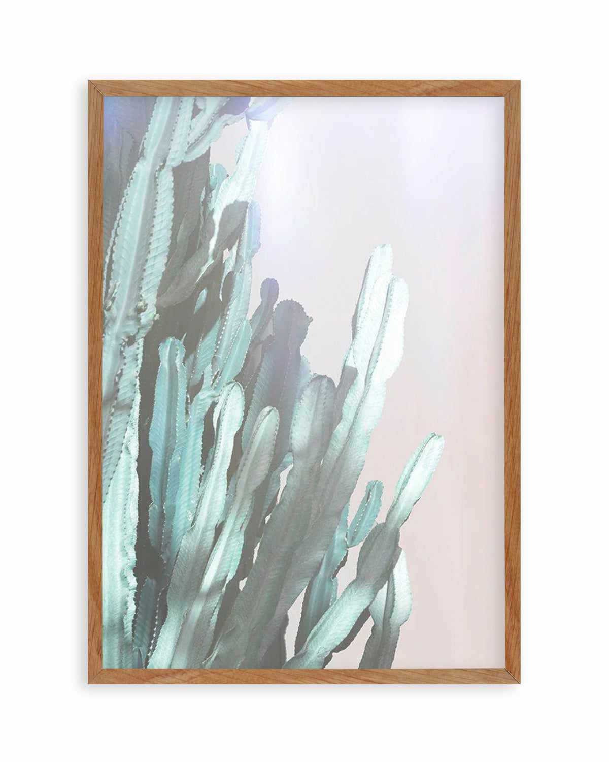 Dreamy Cactus I Art Print