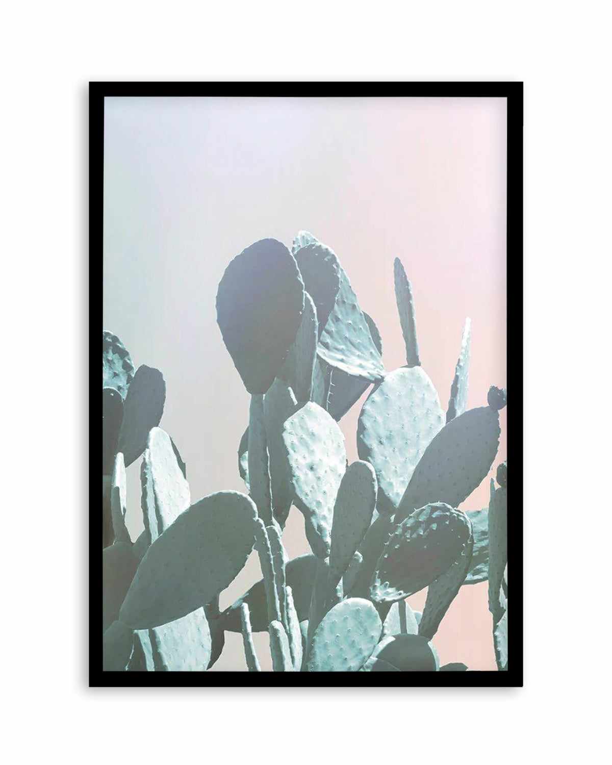 Dreamy Cactus II Art Print