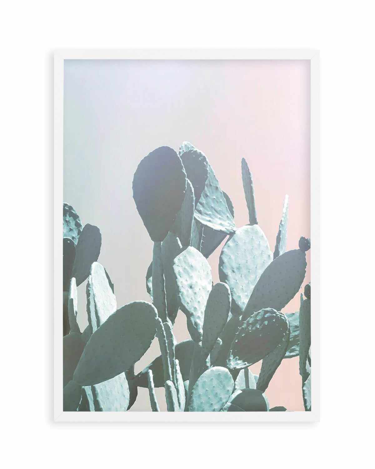 Dreamy Cactus II Art Print