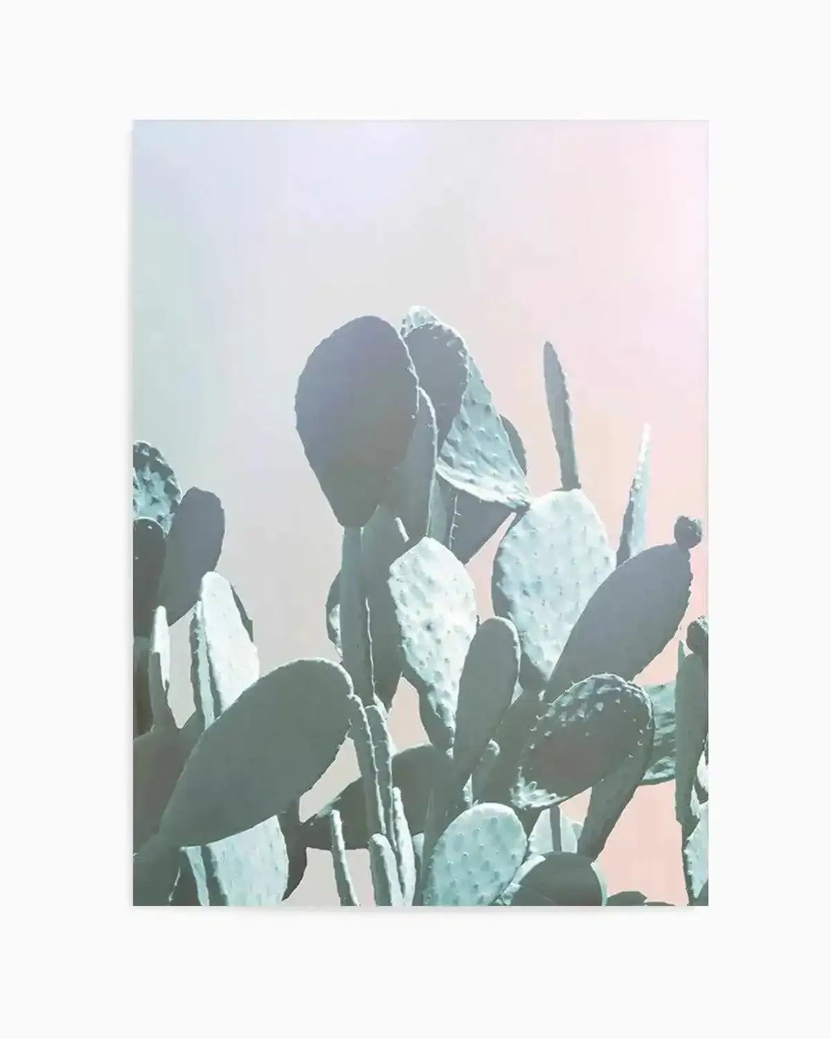 Dreamy Cactus II Art Print from Olive et Oriel where you can shop wallpaper and artworks online