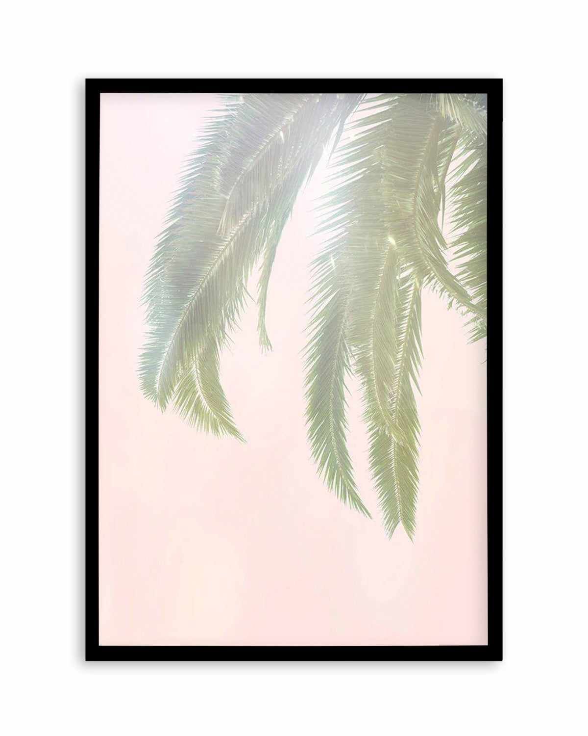 Dreamy Palms I Art Print